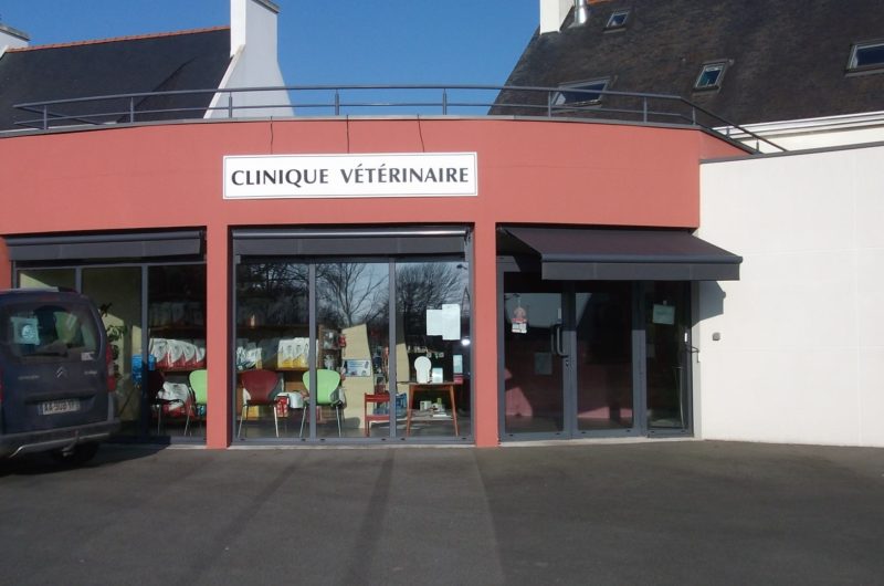 195058-clinique-veterinaire-blonz