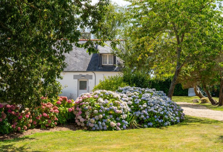 1c568d2b-74ae-42df-801d-3285a75933a2