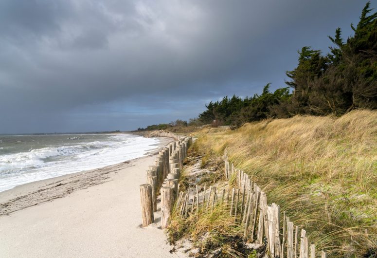 2025_0128_Bretagne_Finistère_Fouesnant_Mousterlin_DSC03841_RLe