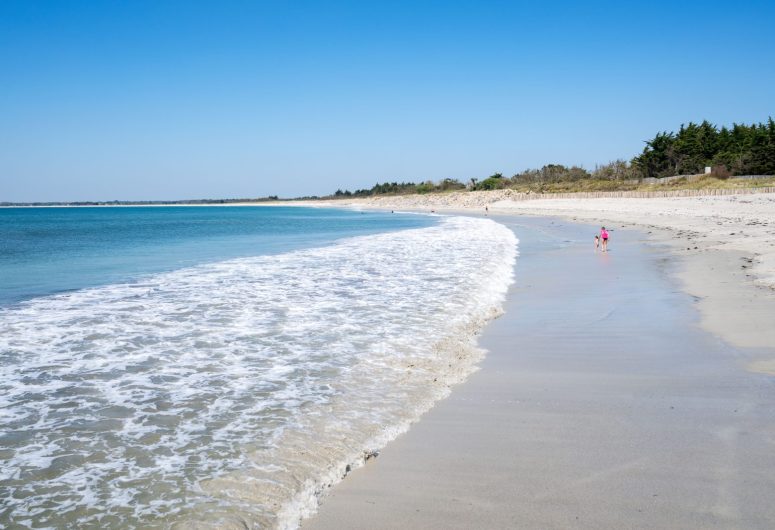 2025_0409_Bretagne_Finistère_Fouesnant_Earth_DSC09507_RLe