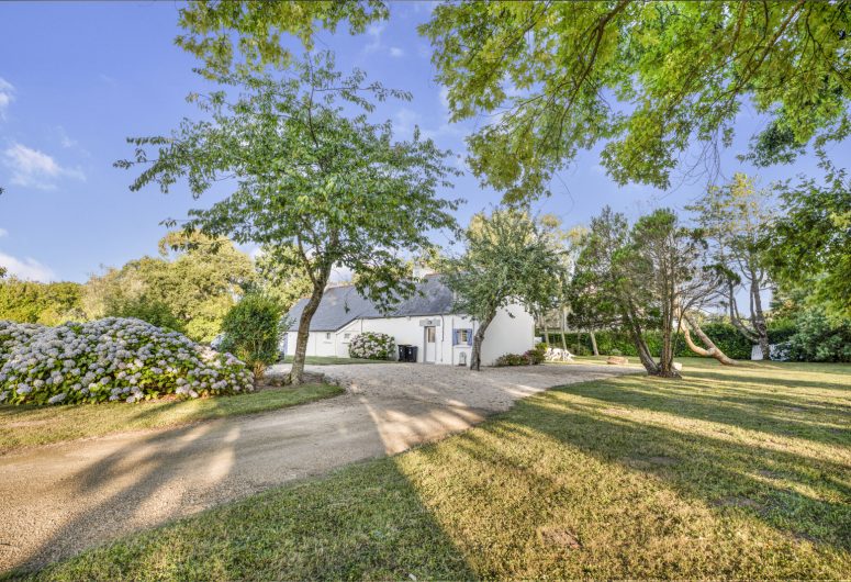 2682ca87-9e96-44f9-ac4f-e4182bc0ec2f