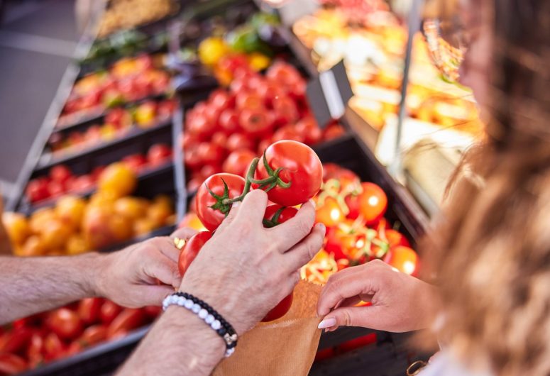 Benodet-juillet2025@alamoureux_D6A7233