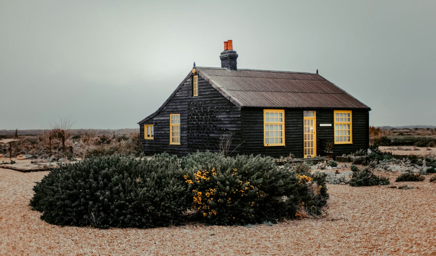 Bois-brule-credit-ZoltanTasi-unsplash-885×520