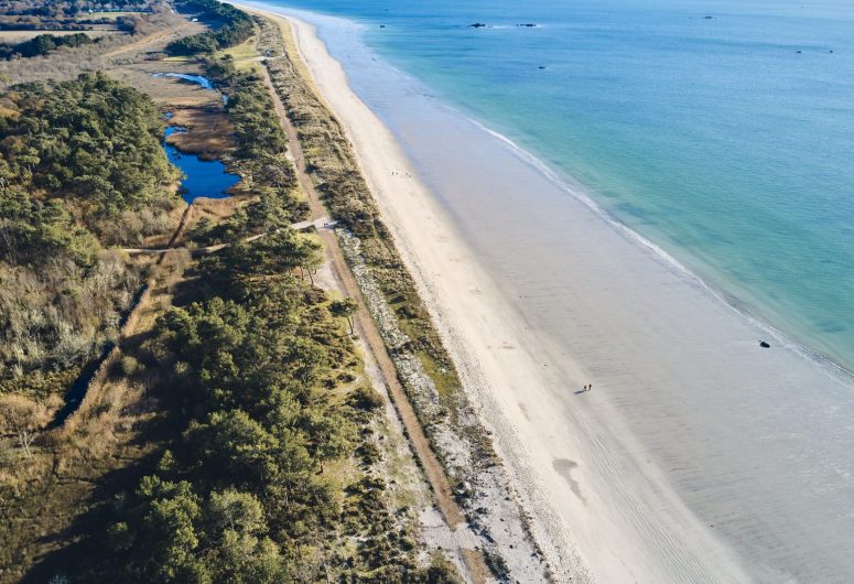 Plage et marais – Cleut Rouz