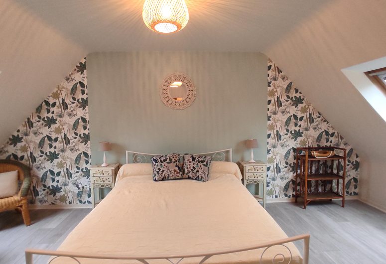 IMG_20250104_120843 vue generale amelioree