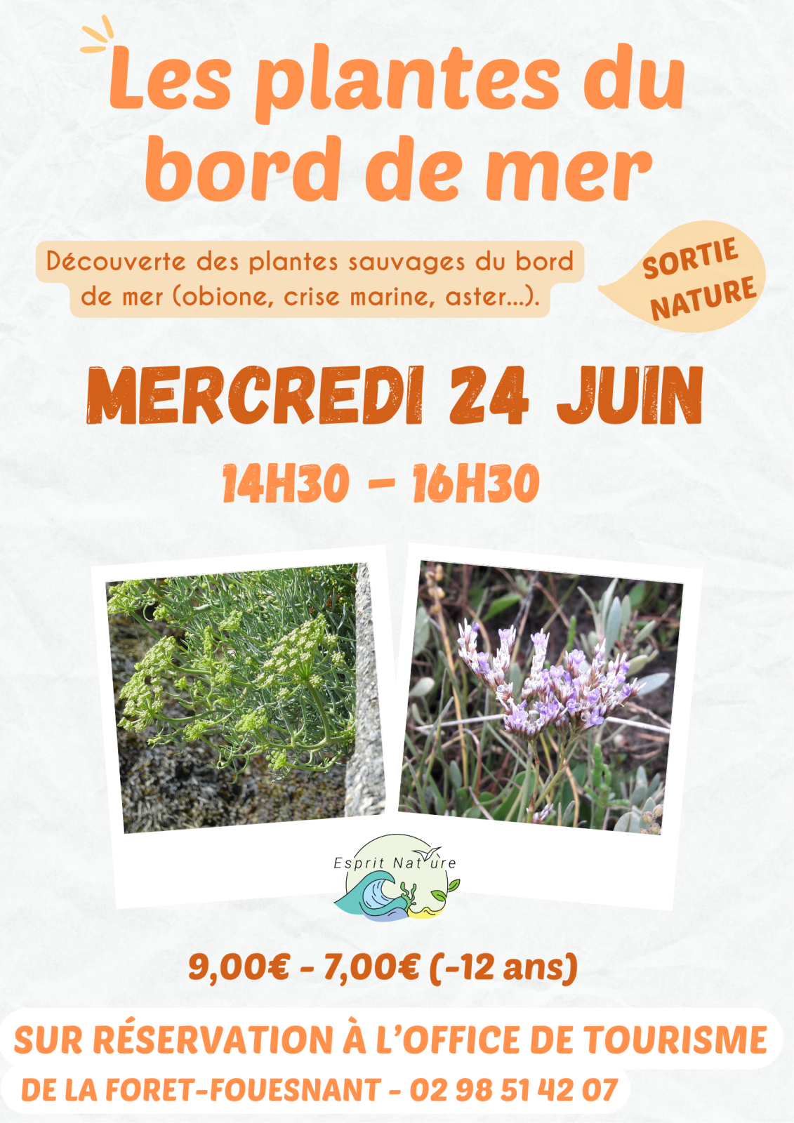 Les plantes du bord de mer 2026 – 3