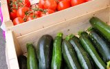 Marché Bénodet – Sélection (9)