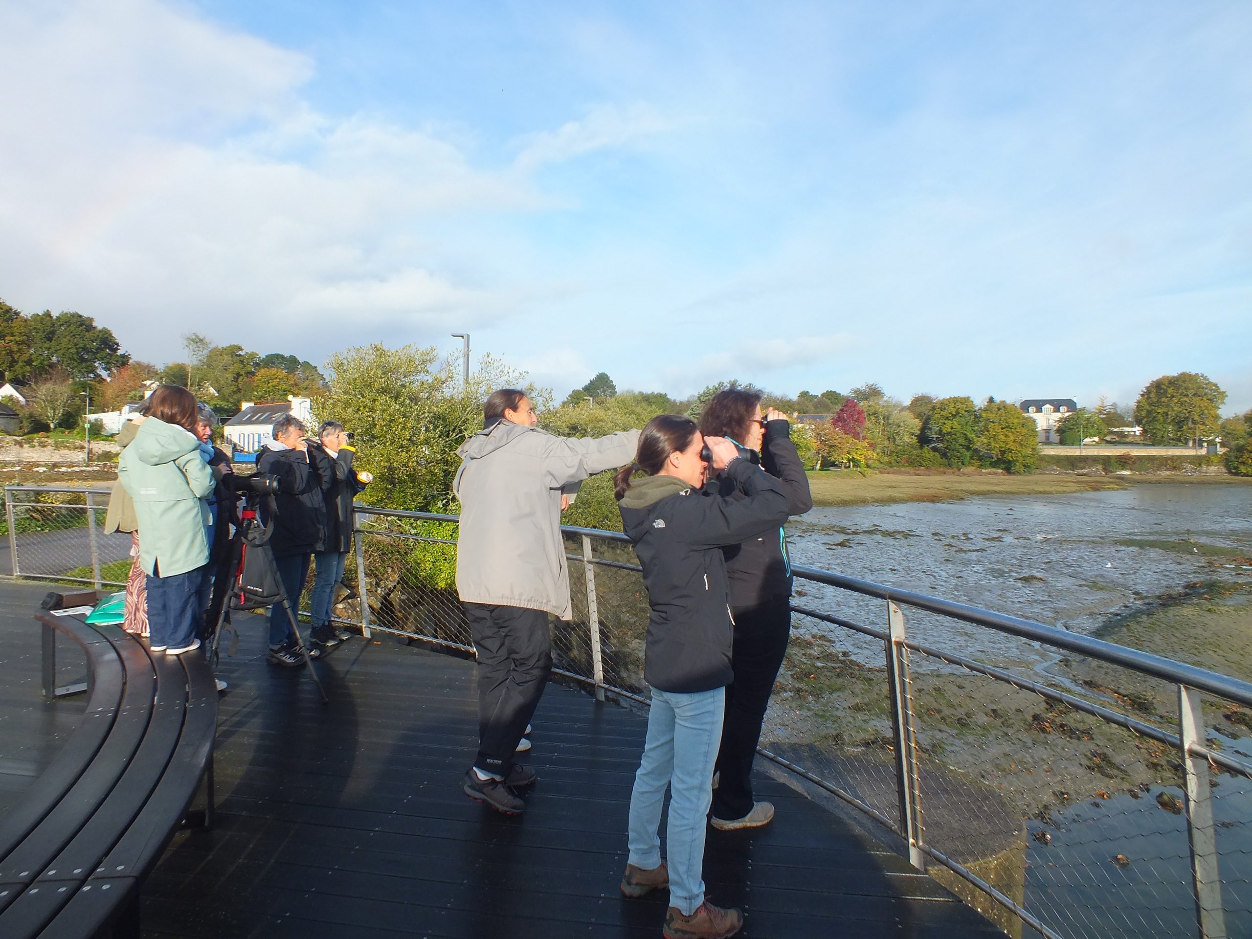 Oiseaux Nathalie Delliou (35) ©OTLFF