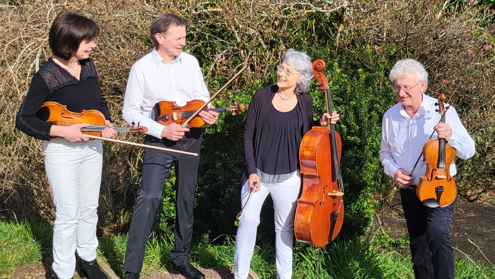 Quatuor Yannick Tifé