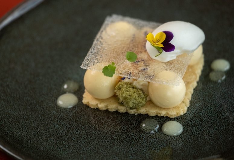 hotel de la pointe-66