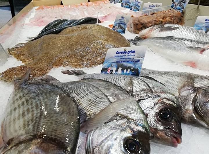 les-poissons-de-nicolas-poissonnerie-la-foret-fouesnant–2-