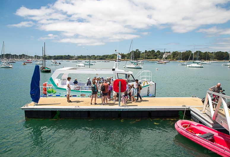 vedettes-odet-bac(3)