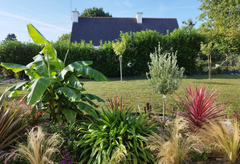 vegetationété 2025