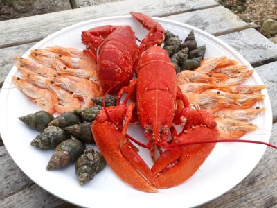 viviers-penfoulic-plateau-fruits-de-mer-foret-fouesnant